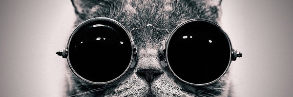 Glasses-Cat