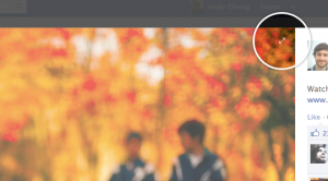 Higher Resolution Photos: Full Screen